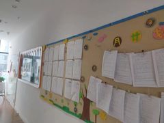 -金色雨林学习力培优(专注力提升)