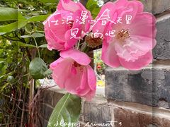 -颐和路民国时期公馆风貌区