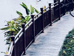 -重庆彩云湖湿地公园