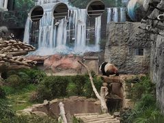 -石排湾郊野公园