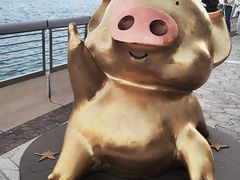 -星光大道