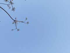 -太阳岛旅游度假区