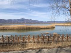 -野鸭湖国家湿地公园