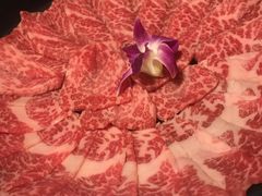 -养心殿台式养生锅(铜锣湾店)