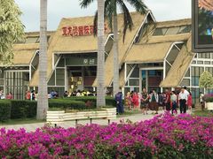 -亚龙湾国际玫瑰谷
