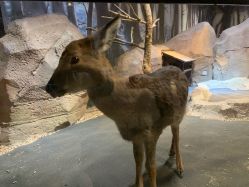 -酷嗒动物文化乐园(cutezoo西溪乐天城店)