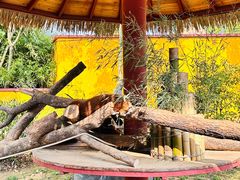 -杭州野生动物世界