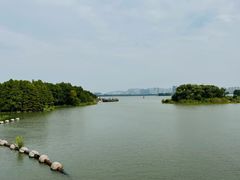 -长广溪湿地公园