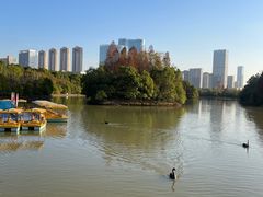 -艾溪湖湿地公园