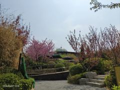-大连金石滩绿发温泉假日酒店