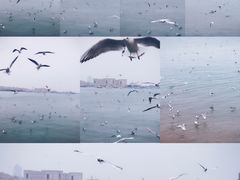 -栈桥景区