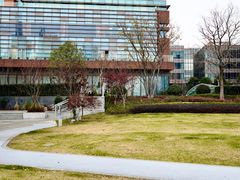 -北外滩滨江绿地