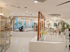 -共舞时光猫咖·狗咖(新街口店)