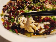 -三猫黑鱼花(南大店)