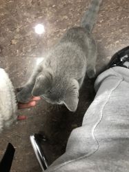 -J阳私人定制