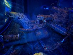 -成都浩海立方海洋公园