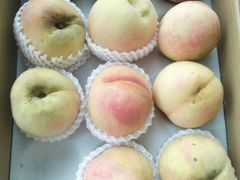 -全而廉(靖宇中路店)