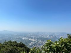 -梧桐山风景名胜区