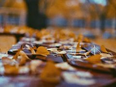 -两江幸福广场