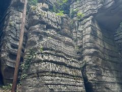 -梭布垭石林景区