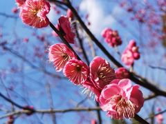 -白塘生态植物园