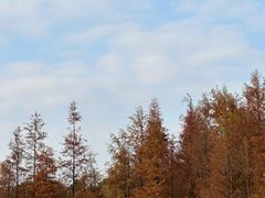 -番禺大夫山森林公园
