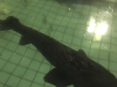 -天怡·鱼工厂(梅溪湖店)