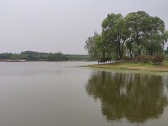 -东郊湿地公园