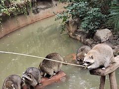 -长鹿旅游休博园