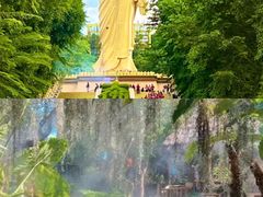 -野象谷景区