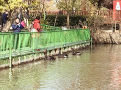-长兴太湖图影湿地文化园