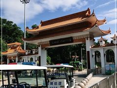 -深圳仙湖植物园