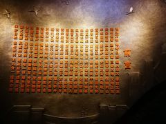 -陕西自然博物馆