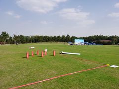 -上海海湾国家森林公园