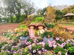 -上海共青森林公园