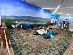 -延庆地质公园博物馆