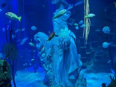 -沈阳海洋探索中心