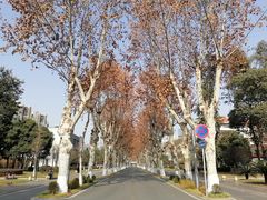 -四川大学(望江校区)