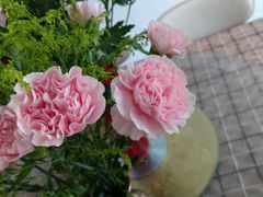 -双季花艺园艺市场(浦东店)