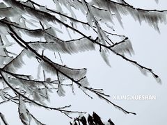 -花水湾第一村温泉大酒店