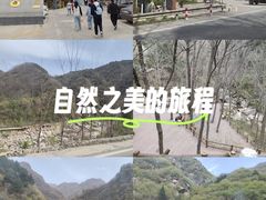 -王顺山国家森林公园
