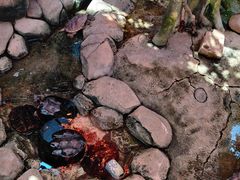 -无锡动物园·太湖欢乐园
