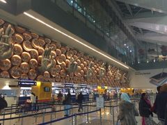 -英迪拉·甘地国际机场