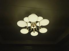 -老郑海鲜楼(天桥店)