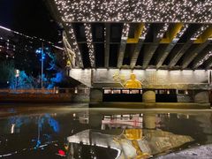 -运河游船(武林门码头)