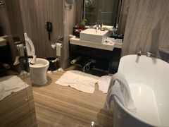 -常州环球恐龙城维景国际大酒店
