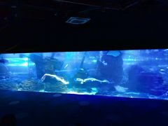 -江和美海洋公园