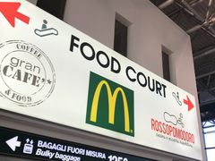 -米兰马尔彭萨国际机场