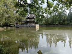 -习家池