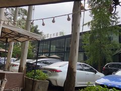 -桉树林A coffee 森林餐厅(三圣乡店)